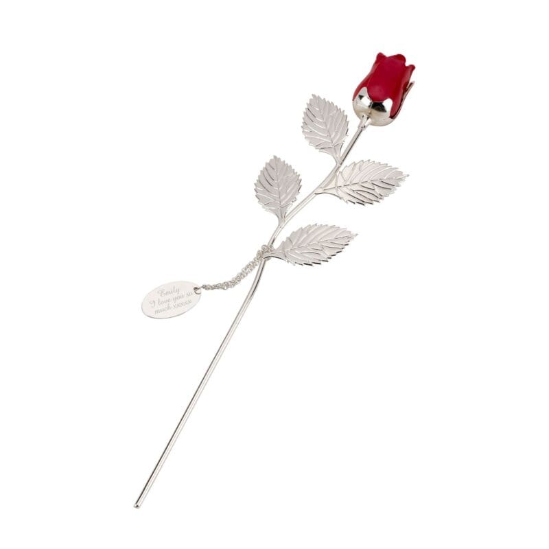 Personalised Free Text Silver Plated Red Rose