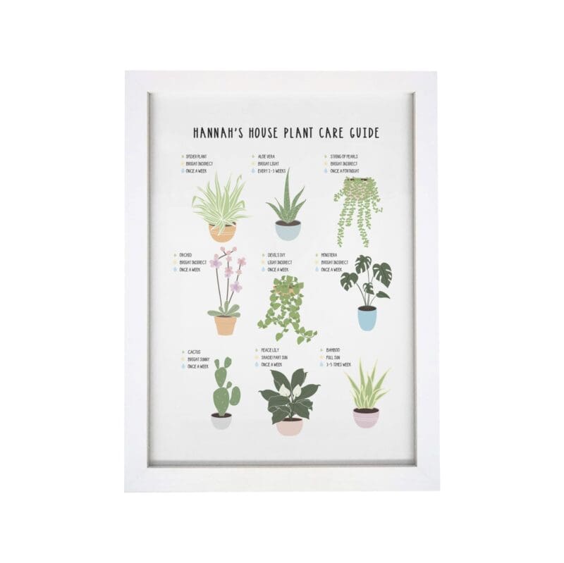 Personalised Plants Guide White A4 Framed Print