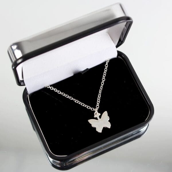 Personalised Butterfly Box and Butterfly Necklace