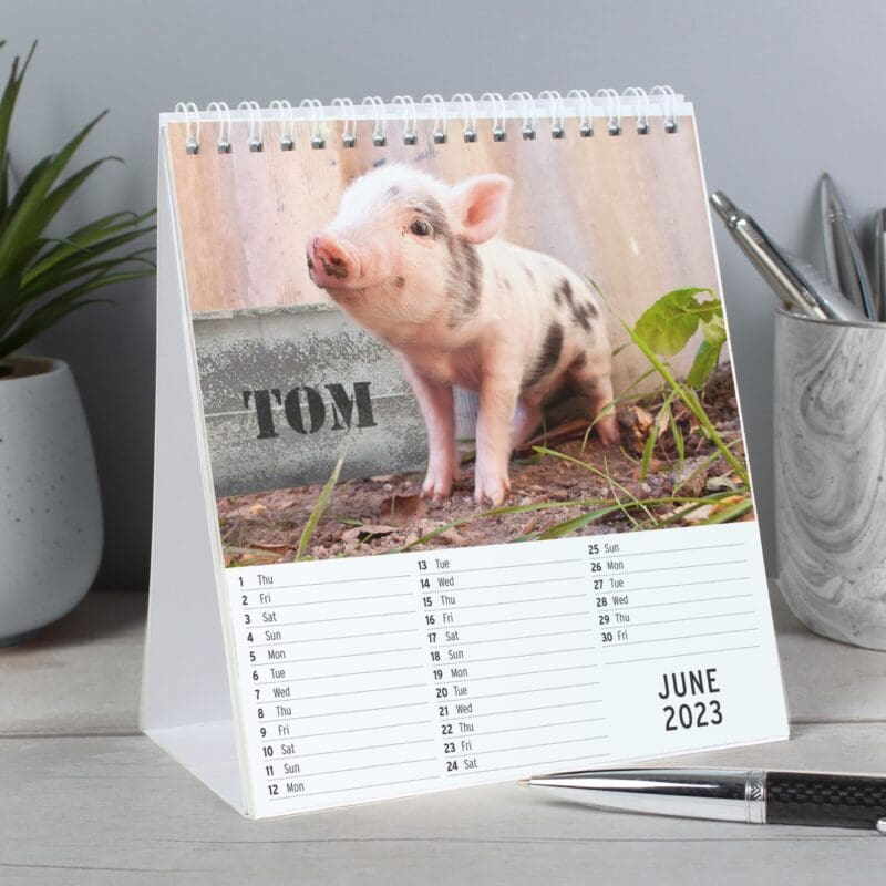 Personalised Cute Animals Desk Calendar