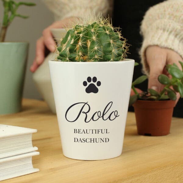 Personalised Paw Print Plant Pot 30 Personalised Paw Print Plant Pot