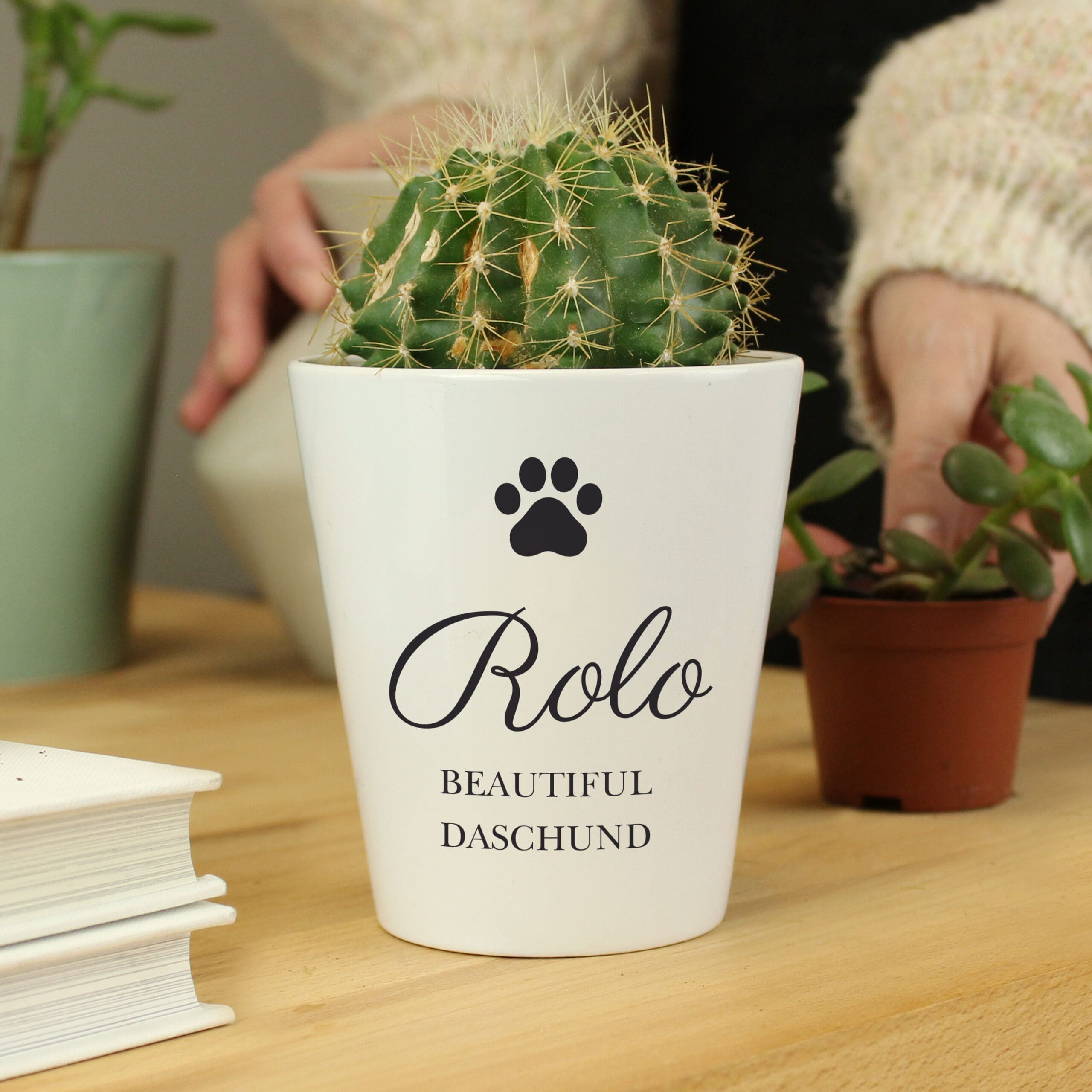 Personalised Paw Print Plant Pot 1 Personalised Paw Print Plant Pot