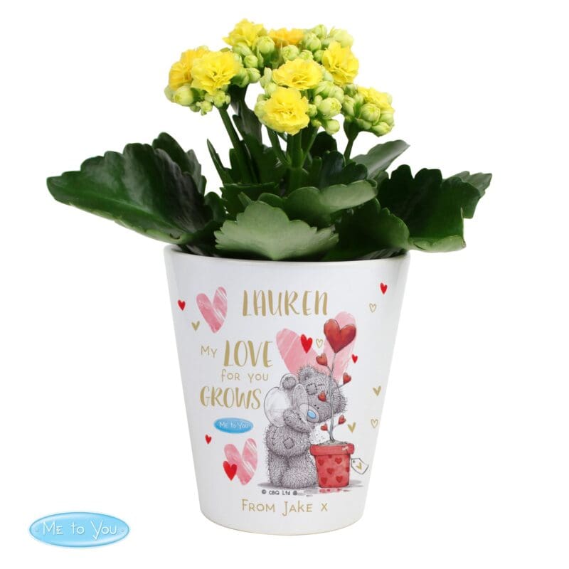 Personalised Me To You Love Grows Plant Pot