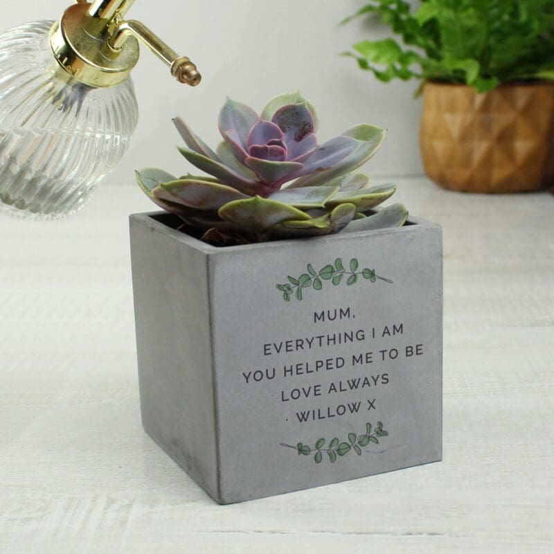 Creating a Cozy Winter Garden Room: Your Ultimate DIY Guide 15 Personalised Botanical Concrete Plant Pot