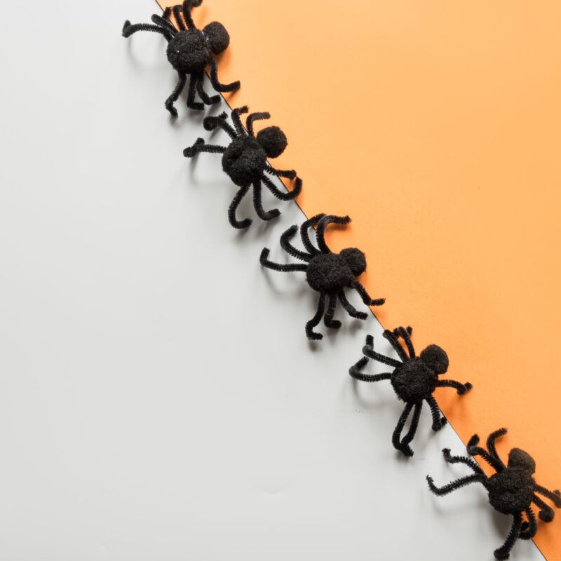 halloween decorations with black spiders on orange 2023 11 27 05 25 30 utc