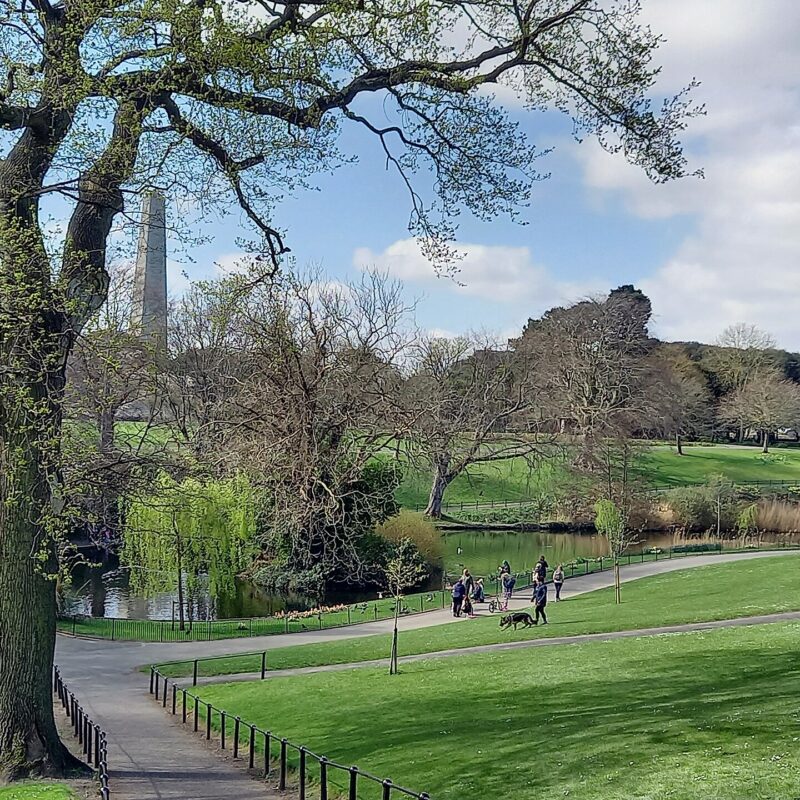 Wellington obelisk and Peoples Garden pond
