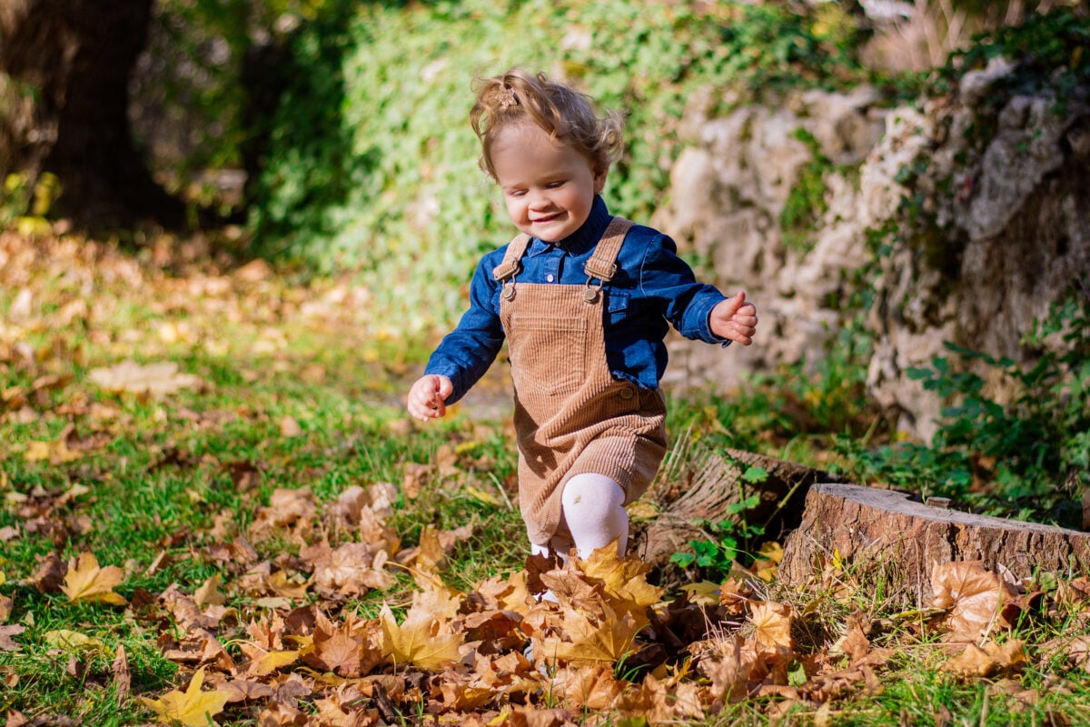 toddler playing with leaves in the forest in autum 2023 11 27 05 21 28 utc