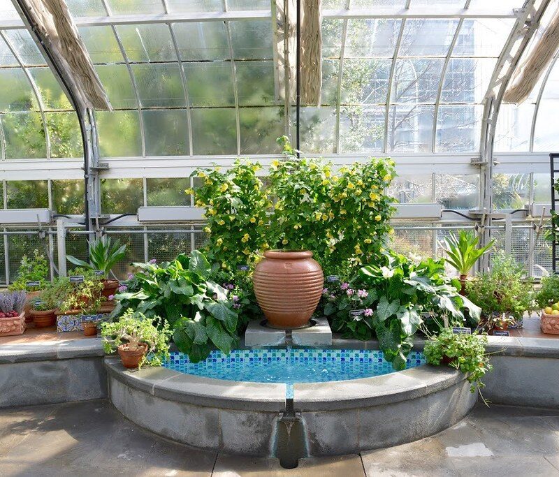 Creating a Cozy Winter Garden Room: Your Ultimate DIY Guide 10 Garden Room