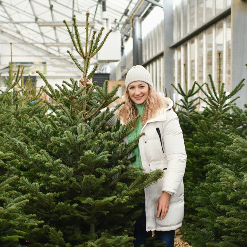 a woman buying a christmas norman tree in a shop 2023 11 27 23 09 51 utc