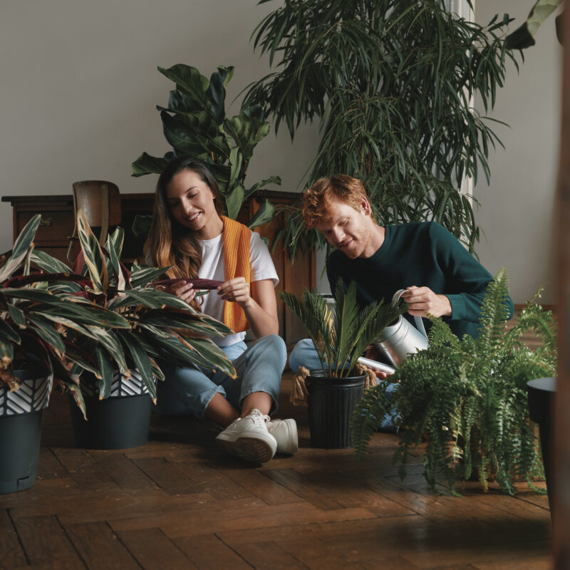 Creating a Cozy Winter Garden Room: Your Ultimate DIY Guide 6 beautiful young couple watering houseplants and sm 2023 11 27 05 02 29 utc