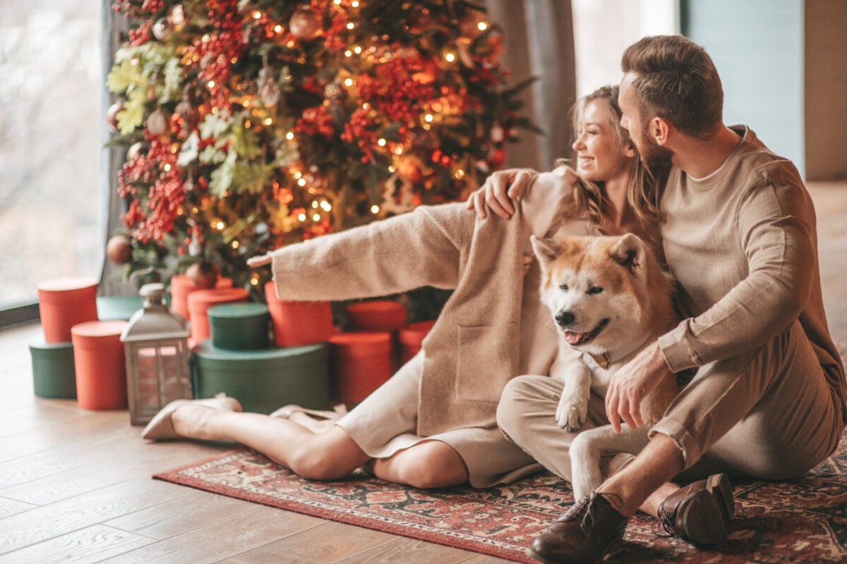 candid authentic happy married couple spends time 2024 11 03 07 52 30 utc