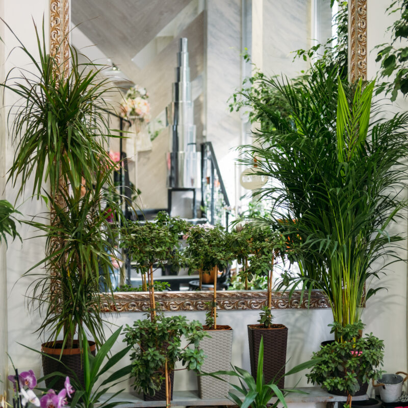 Creating a Cozy Winter Garden Room: Your Ultimate DIY Guide 4 garden room biophilia trend living with nature 2023 11 27 05 02 44 utc