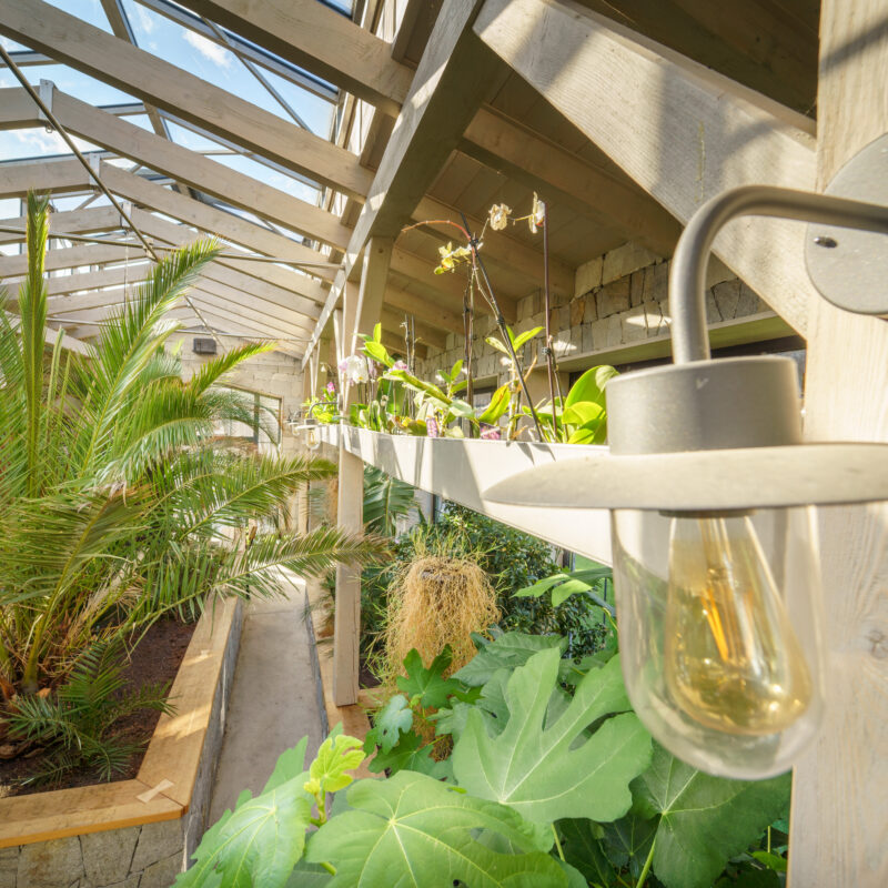 Creating a Cozy Winter Garden Room: Your Ultimate DIY Guide 5 interior of a greenhouse with exotic plants 2024 10 18 14 38 01 utc