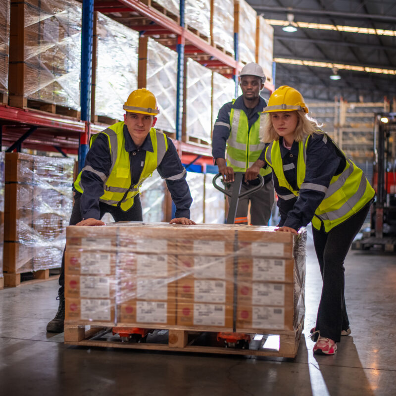 warehouse workers under working factory cargo hand 2023 11 27 04 53 34 utc