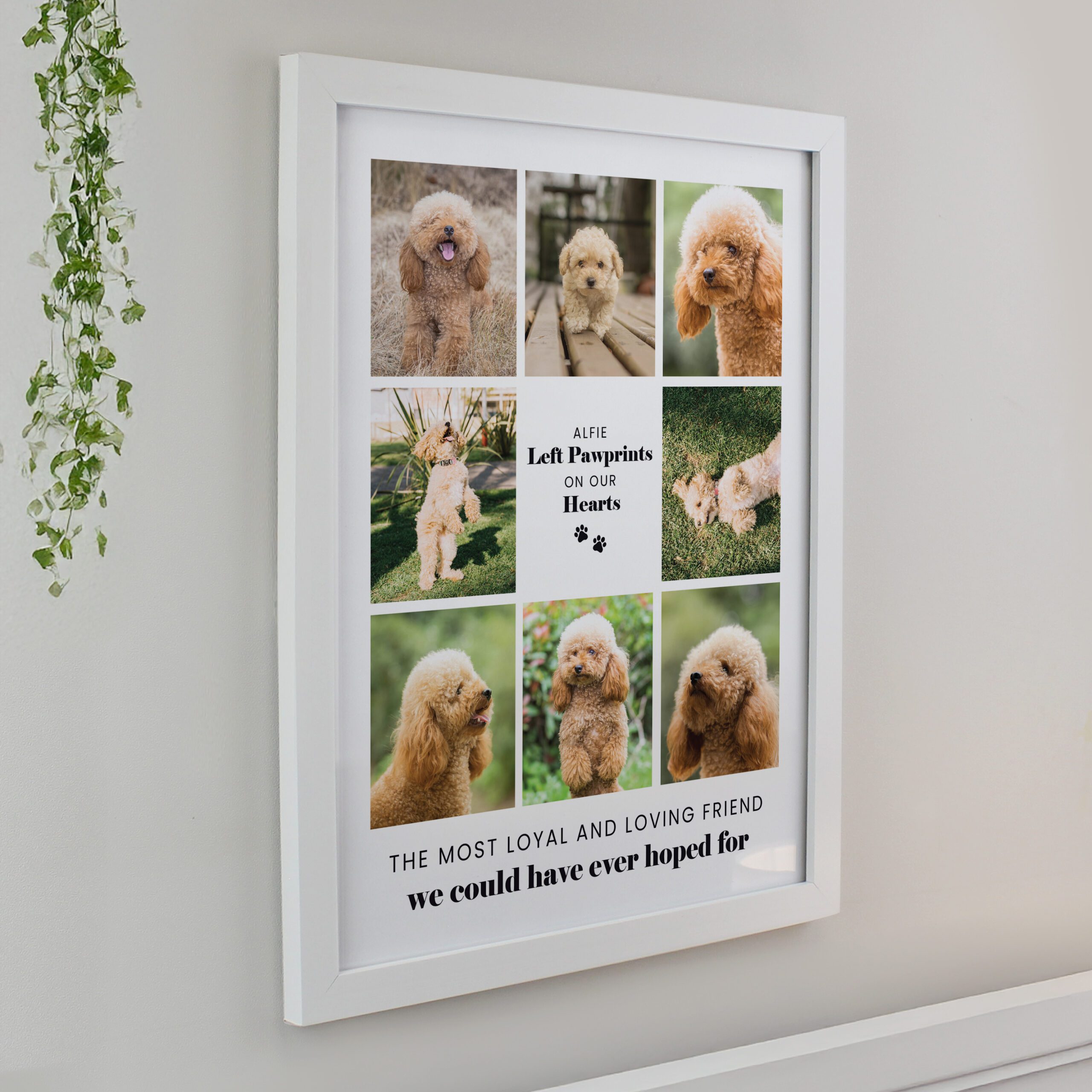 Personalised Pet Multi Photo Upload White Framed Print 2 Personalised Pet Multi Photo Upload White Framed Print