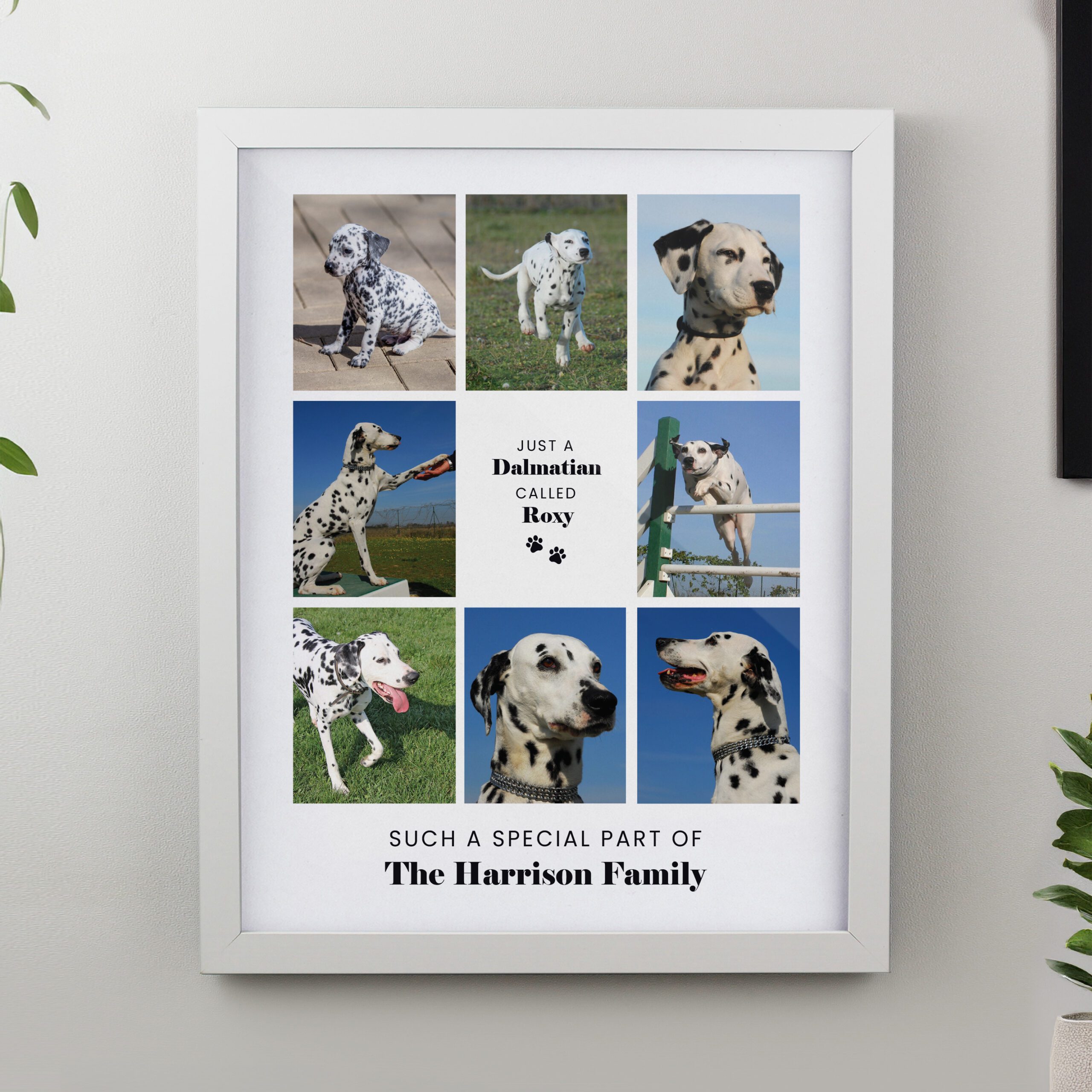 Personalised Pet Multi Photo Upload White Framed Print 3 Personalised Pet Multi Photo Upload White Framed Print