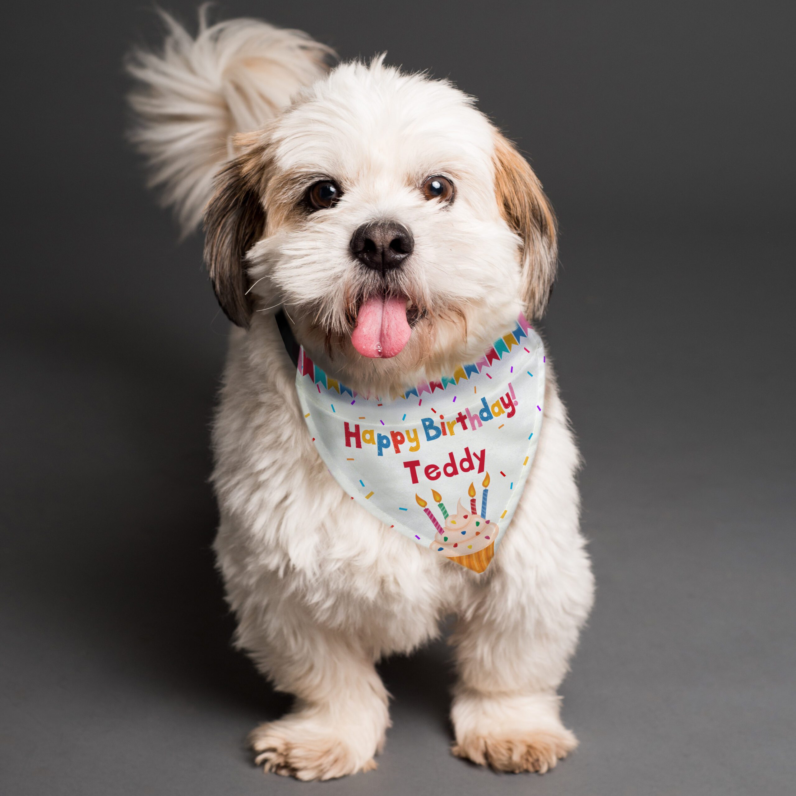 Personalised Happy Birthday Dog Bandana 2 Personalised Happy Birthday Dog Bandana
