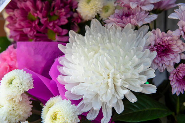 November Inspiration: Celebrate Honesty, Love & Loyalty with Chrysanthemums 5 close up flower in the wedding background 2025 10 30 21 14 23 utc