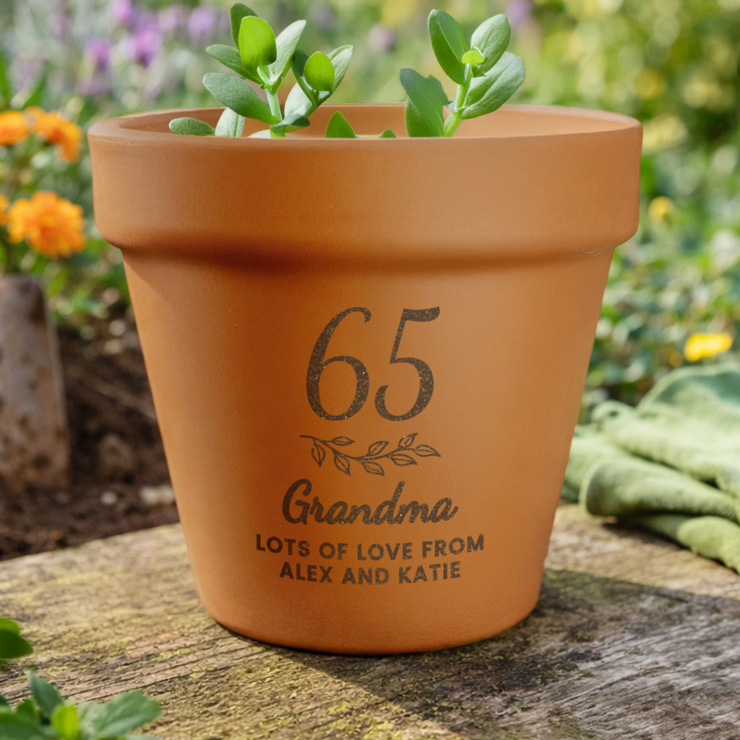 Personalised Big Age Terracotta Plant Pot 1 Personalised Big Age Terracotta Plant Pot