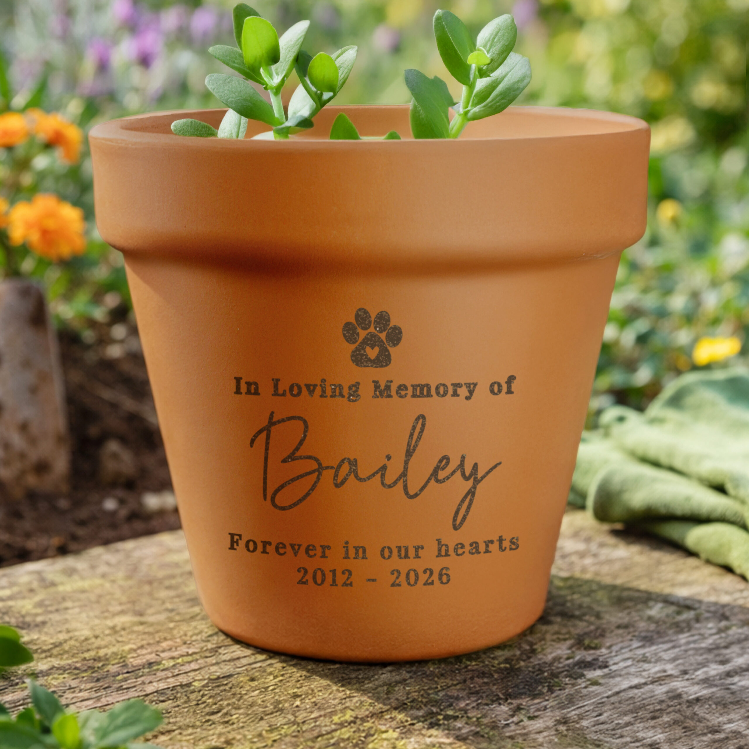 Personalised Pet Memorial Terracotta Plant Pot 1 Personalised Pet Memorial Terracotta Plant Pot