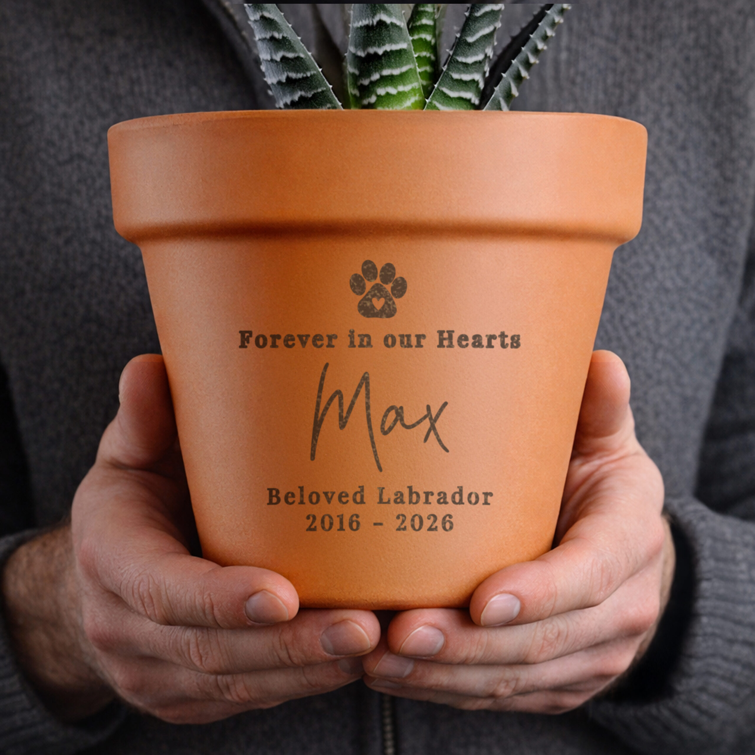 Personalised Pet Memorial Terracotta Plant Pot 3 Personalised Pet Memorial Terracotta Plant Pot