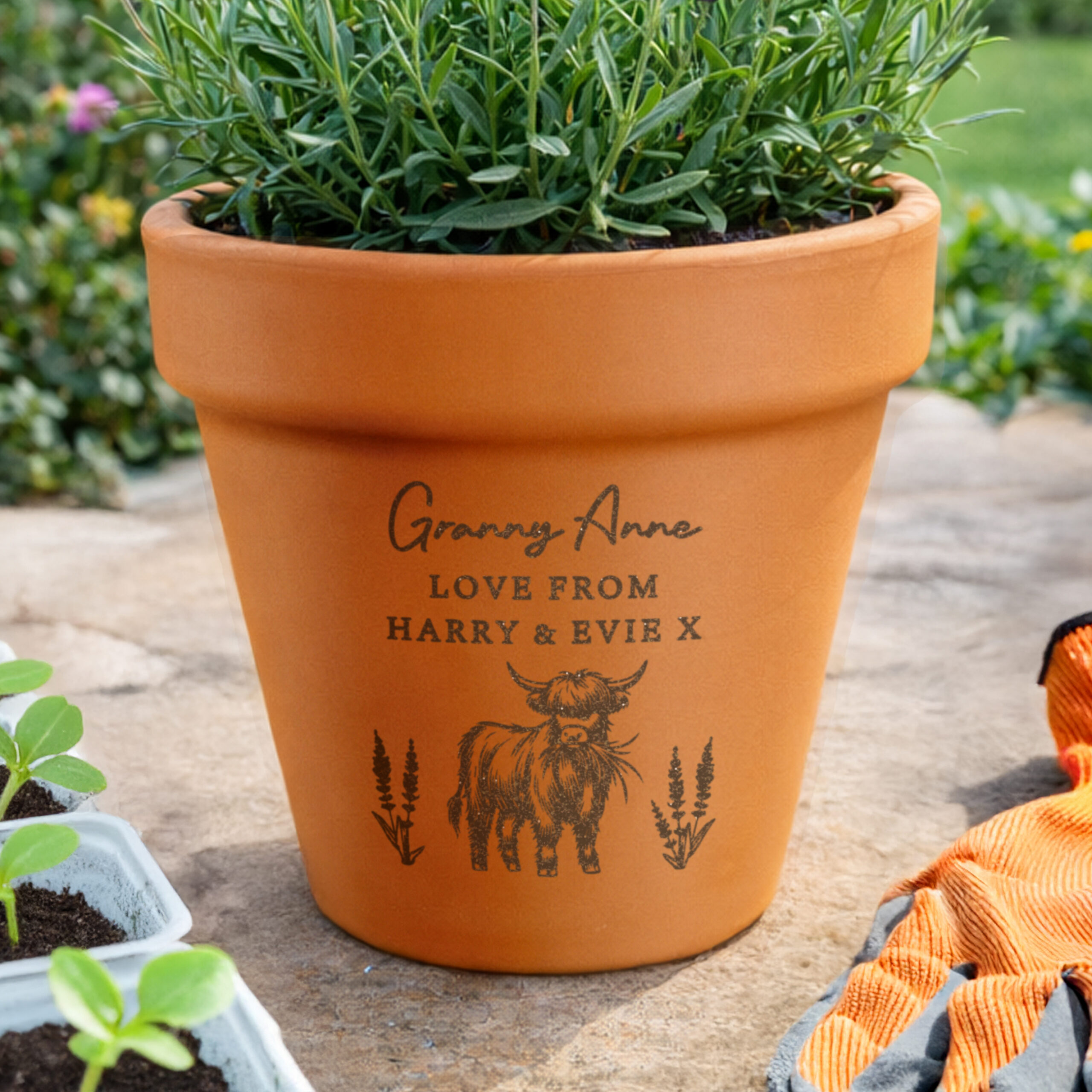 Personalised Highland Cow Terracotta Plant Pot 4 Personalised Highland Cow Terracotta Plant Pot