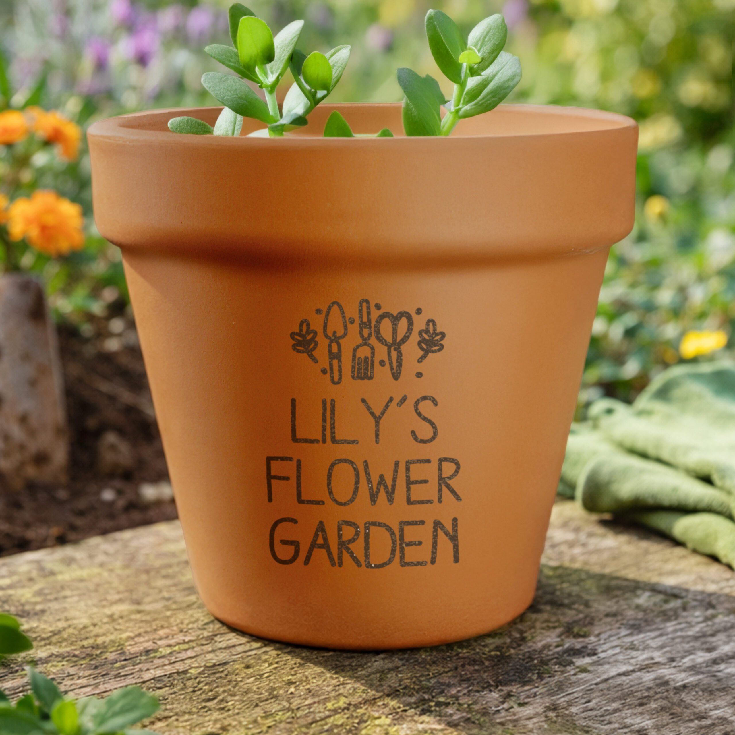 Personalised Gardening Terracotta Plant Pot 1 Personalised Gardening Terracotta Plant Pot