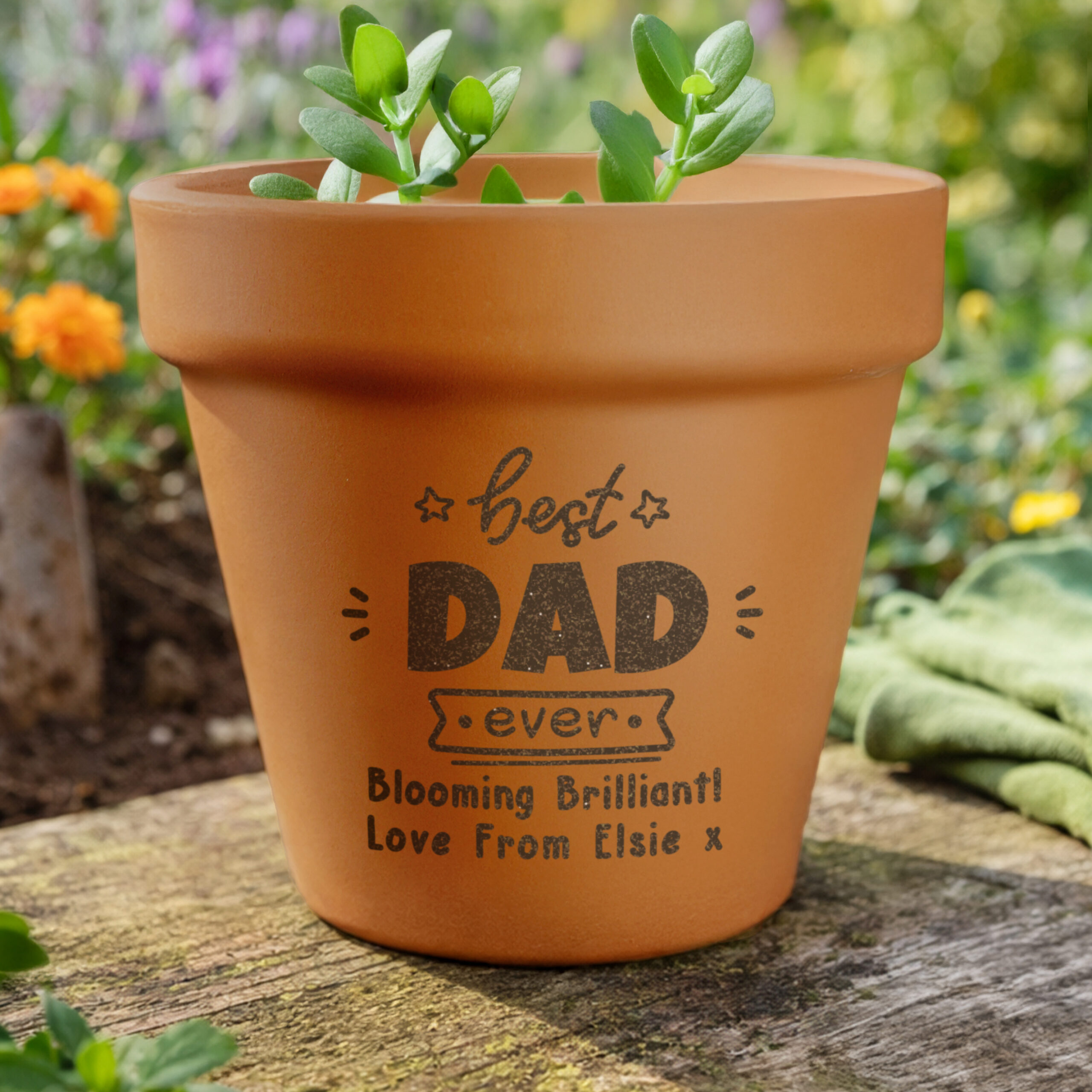 Personalised Best Ever Terracotta Plant Pot 1 Personalised Best Ever Terracotta Plant Pot