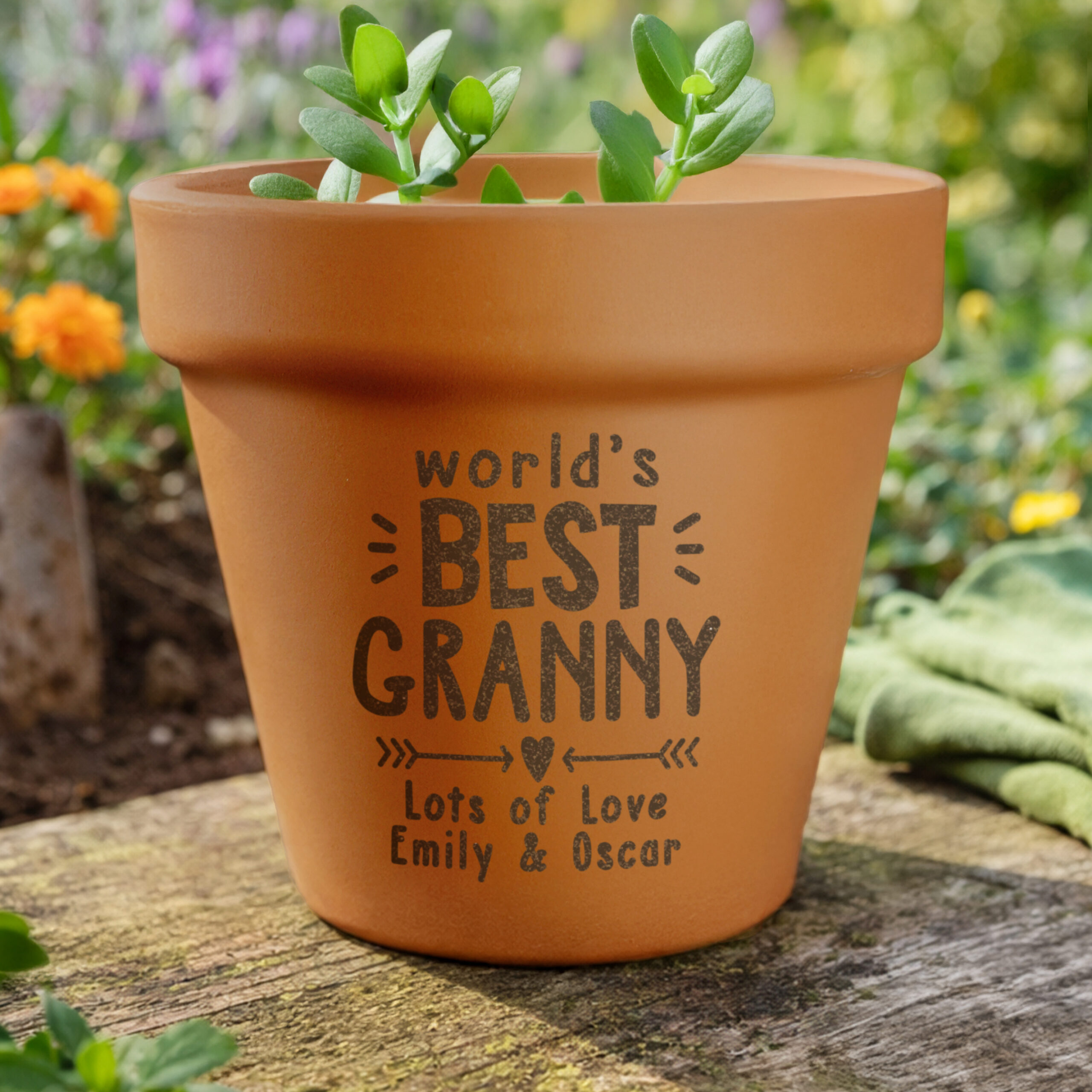 Personalised Worlds Best Terracotta Plant Pot 1 Personalised Worlds Best Terracotta Plant Pot