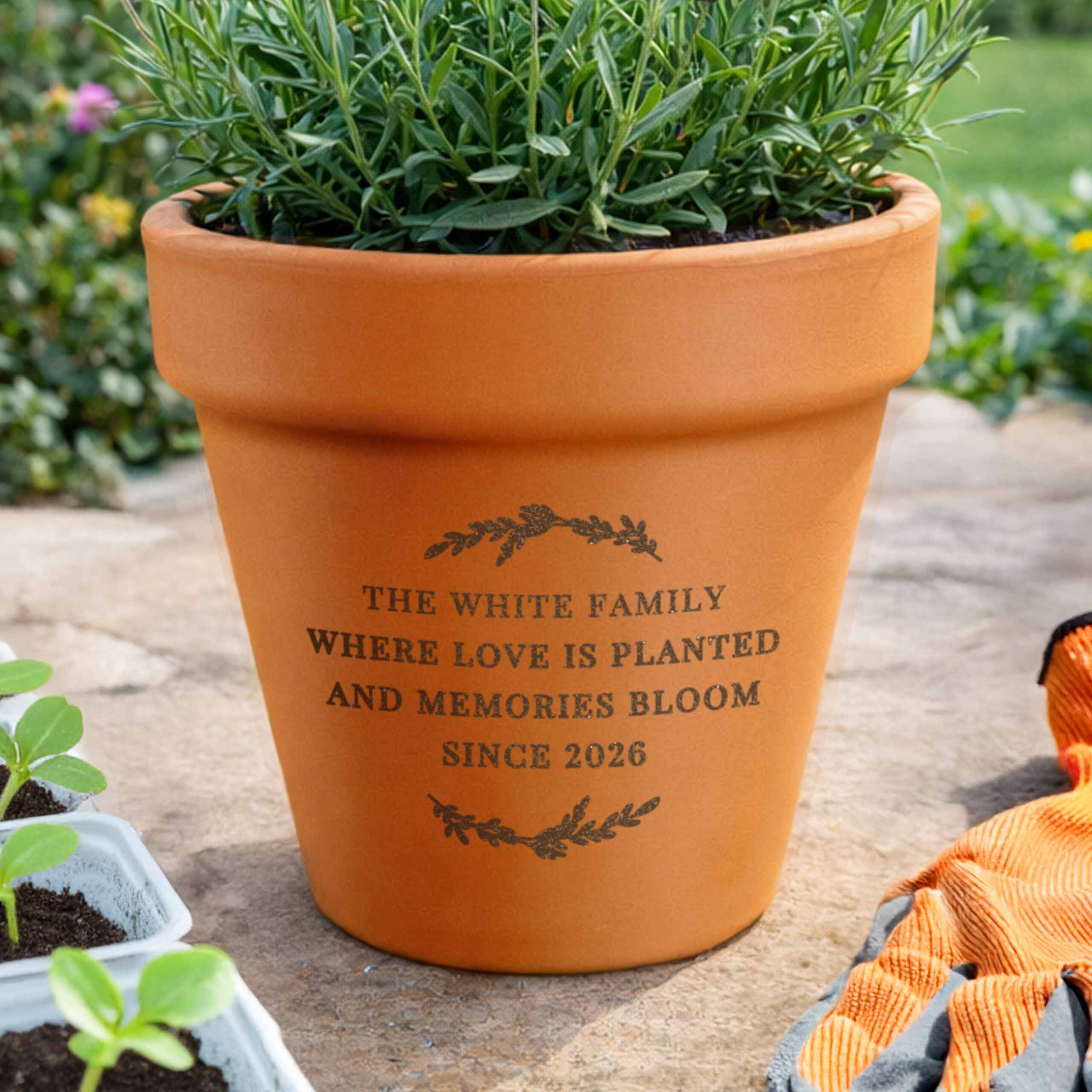 Personalised Free Text Terracotta Plant Pot 1 Personalised Free Text Terracotta Plant Pot