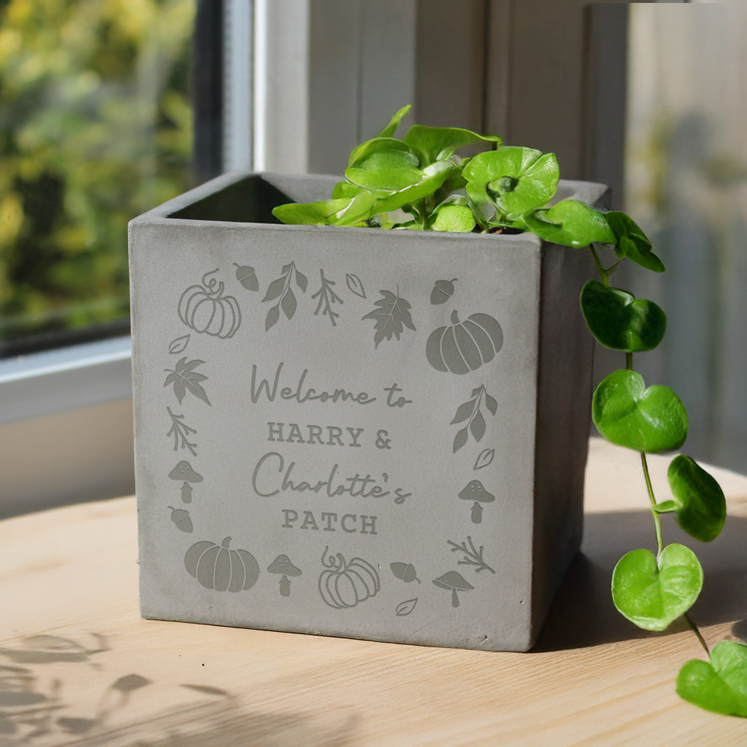 Personalised Pumpkin Concrete Plant Pot 2 Personalised Pumpkin Concrete Plant Pot