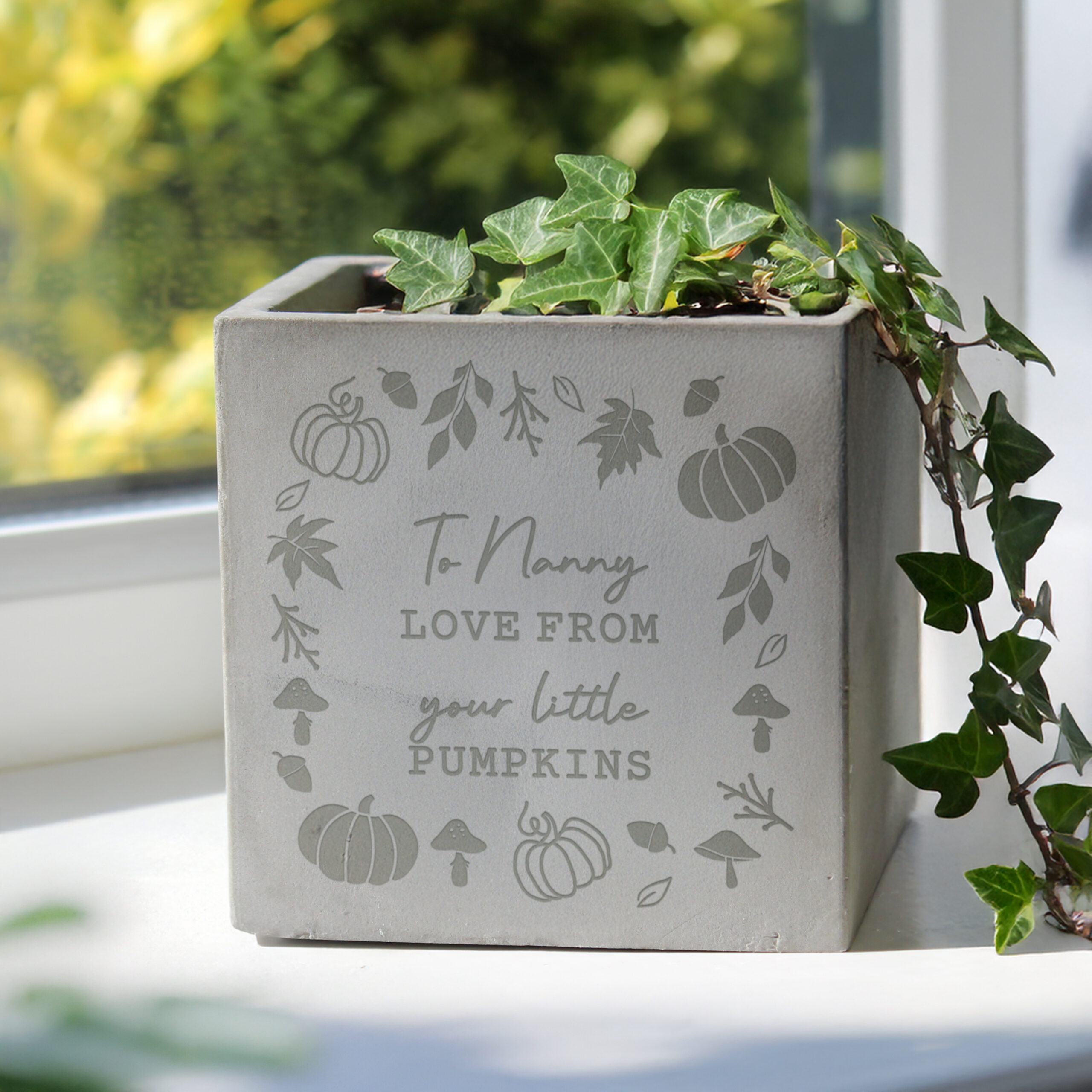Personalised Pumpkin Concrete Plant Pot 3 Personalised Pumpkin Concrete Plant Pot