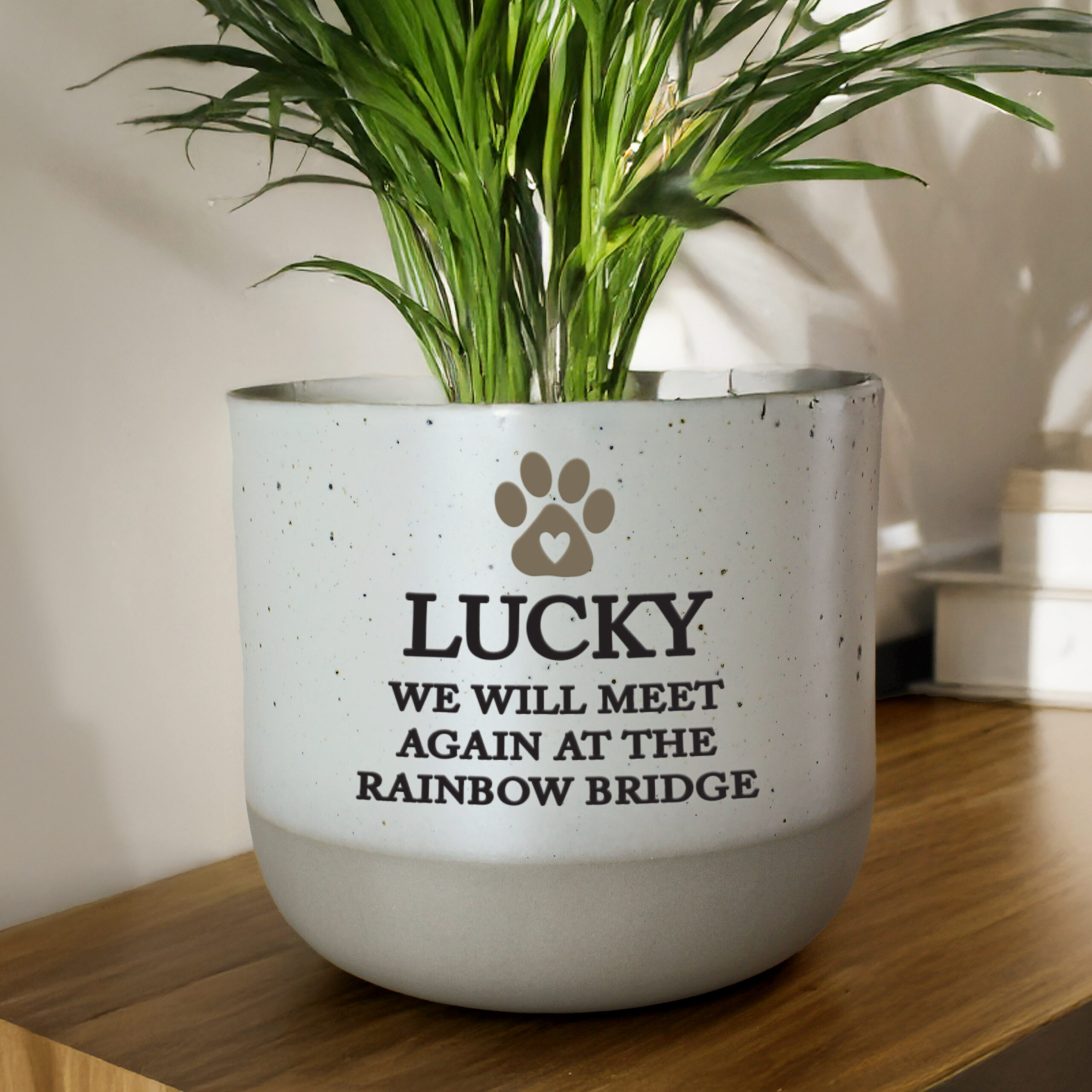 Personalised Pet Memorial Flecked Plant Pot 3 Personalised Pet Memorial Flecked Plant Pot