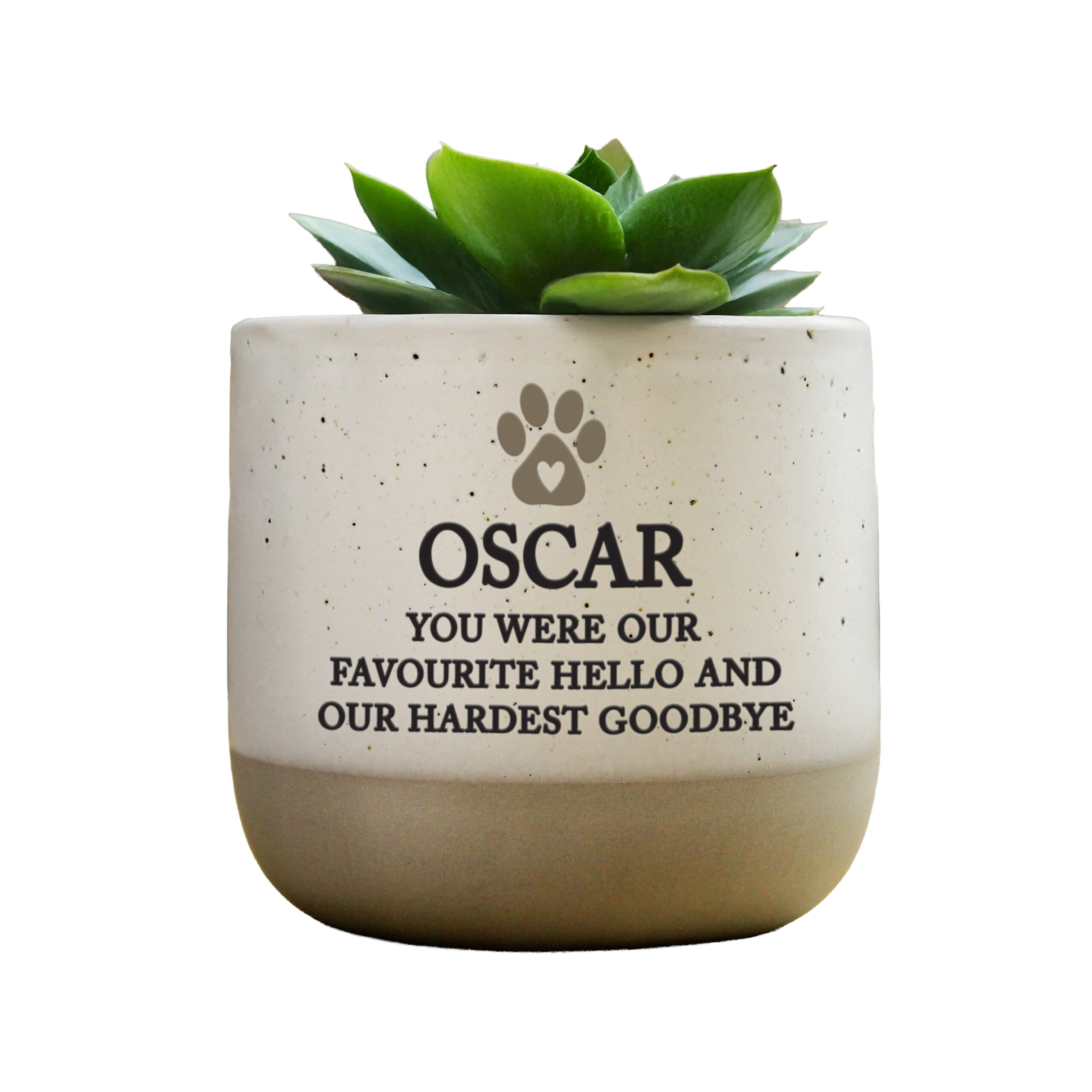 Personalised Pet Memorial Flecked Plant Pot 4 Personalised Pet Memorial Flecked Plant Pot