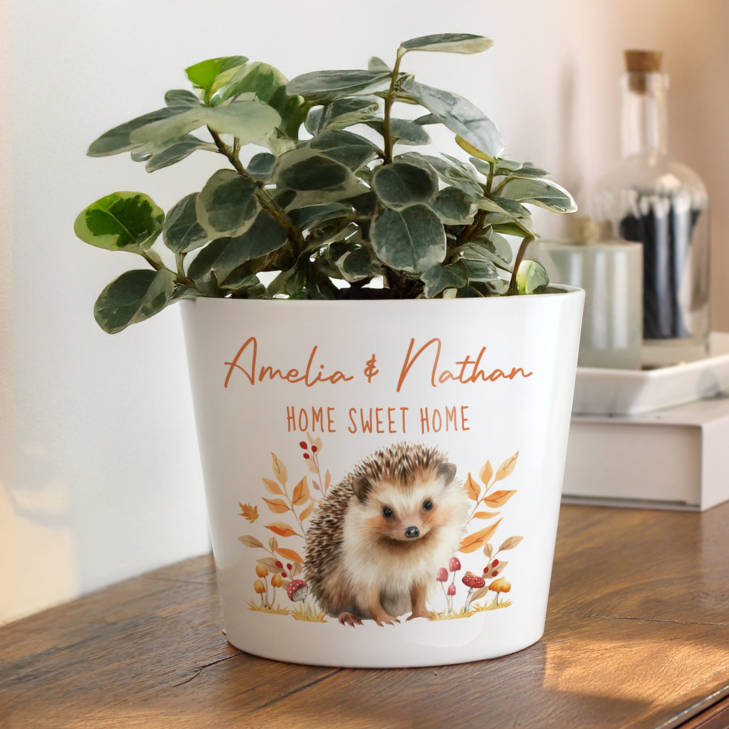 Personalised Hedgehog Large Plant Pot 1 Personalised Hedgehog Large Plant Pot