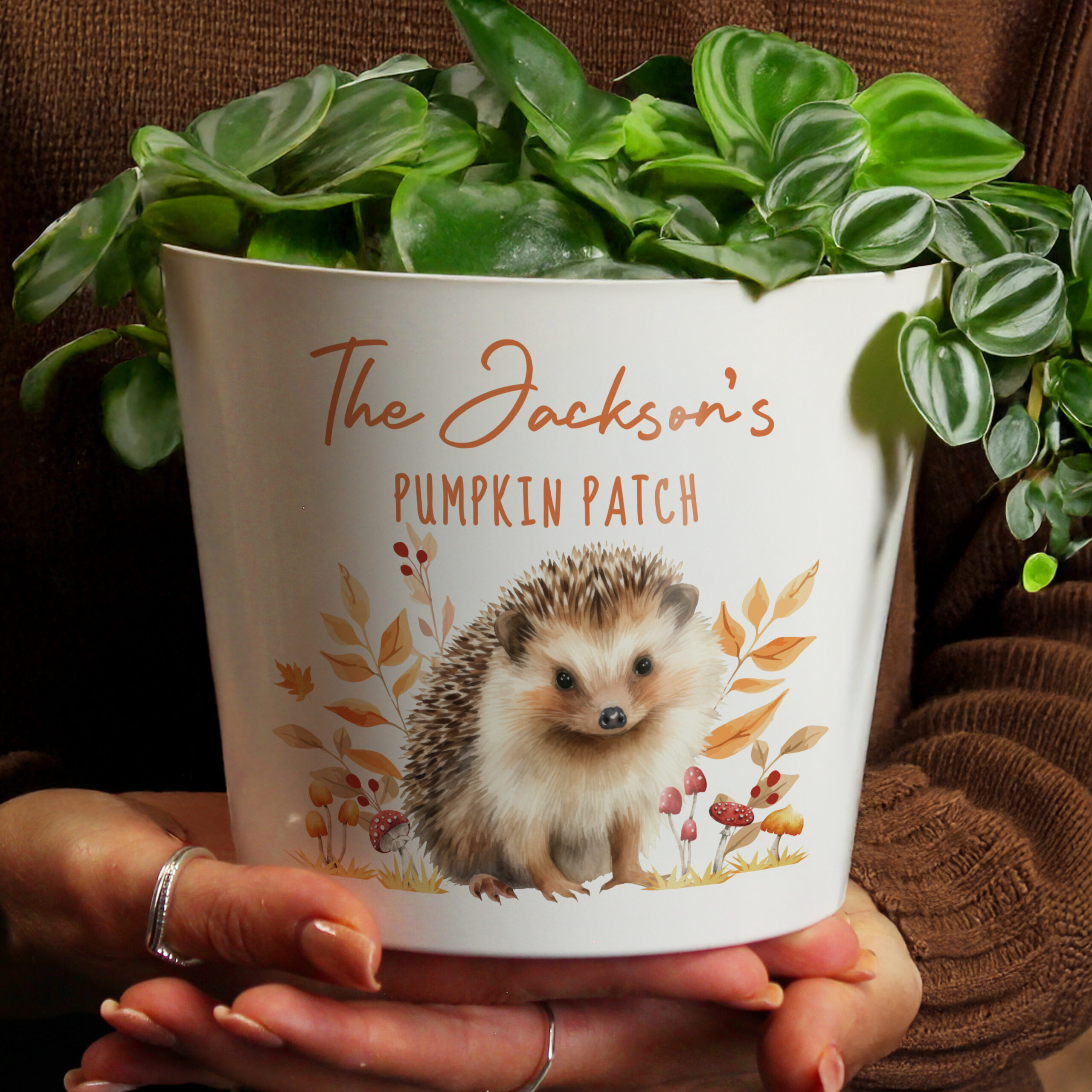 Personalised Hedgehog Large Plant Pot 2 Personalised Hedgehog Large Plant Pot
