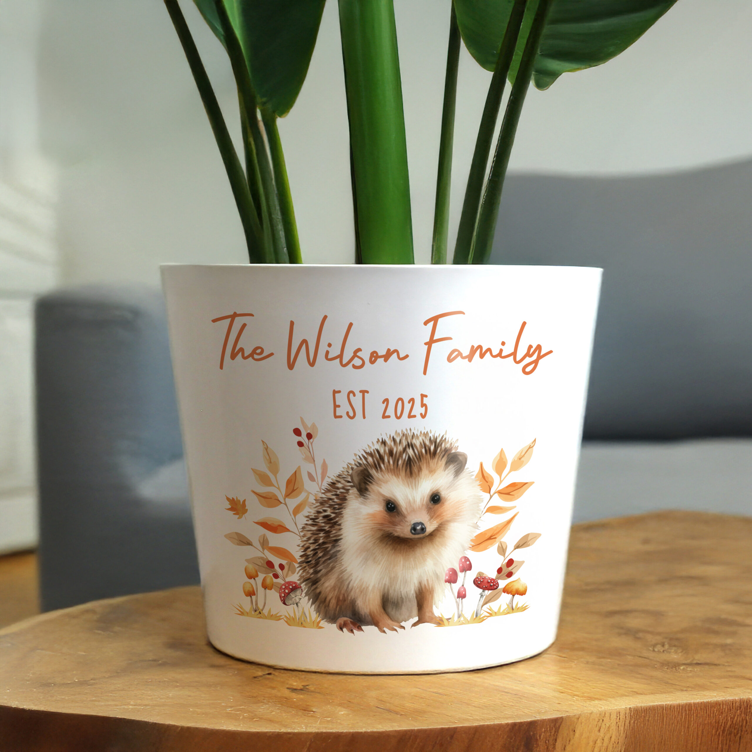 Personalised Hedgehog Large Plant Pot 3 Personalised Hedgehog Large Plant Pot