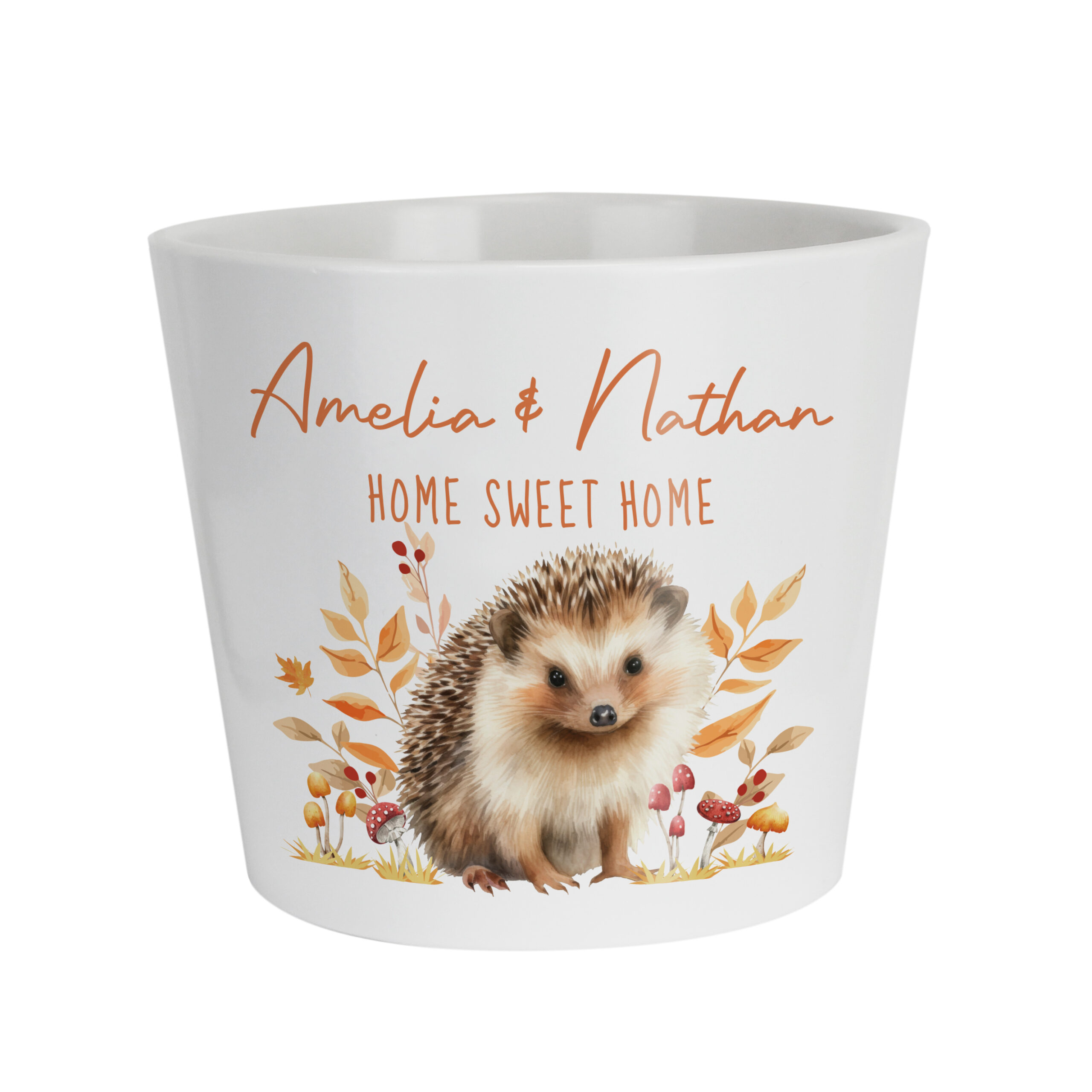 Personalised Hedgehog Large Plant Pot 5 Personalised Hedgehog Large Plant Pot