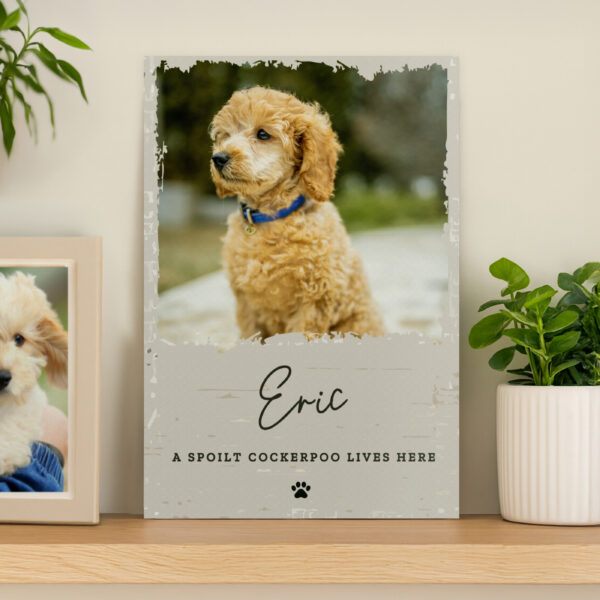 Personalised Photo Upload Pet Aluminium Sign 20 Personalised Photo Upload Pet Aluminium Sign