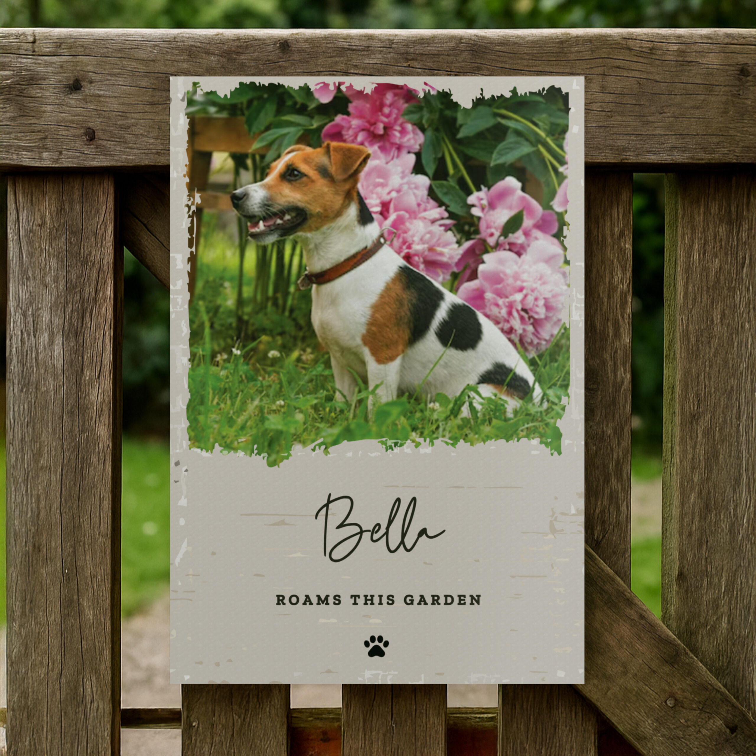 Personalised Photo Upload Pet Aluminium Sign 2 Personalised Photo Upload Pet Aluminium Sign