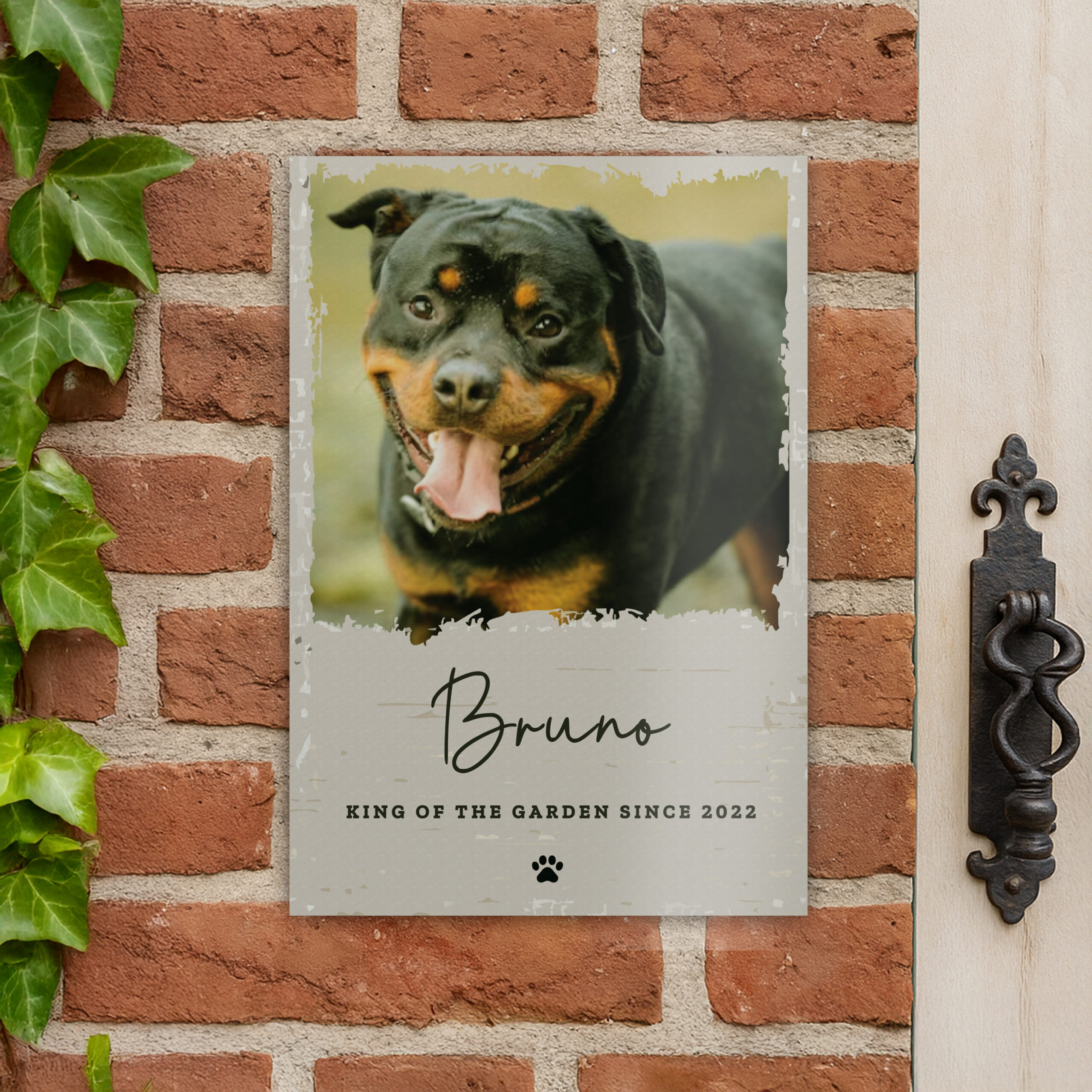 Personalised Photo Upload Pet Aluminium Sign 3 Personalised Photo Upload Pet Aluminium Sign