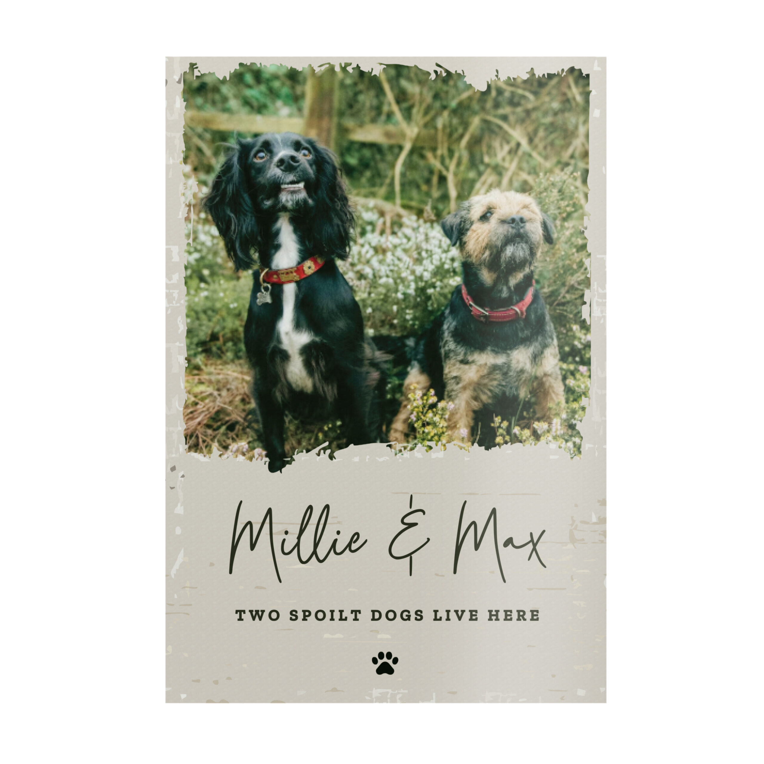Personalised Photo Upload Pet Aluminium Sign 4 Personalised Photo Upload Pet Aluminium Sign