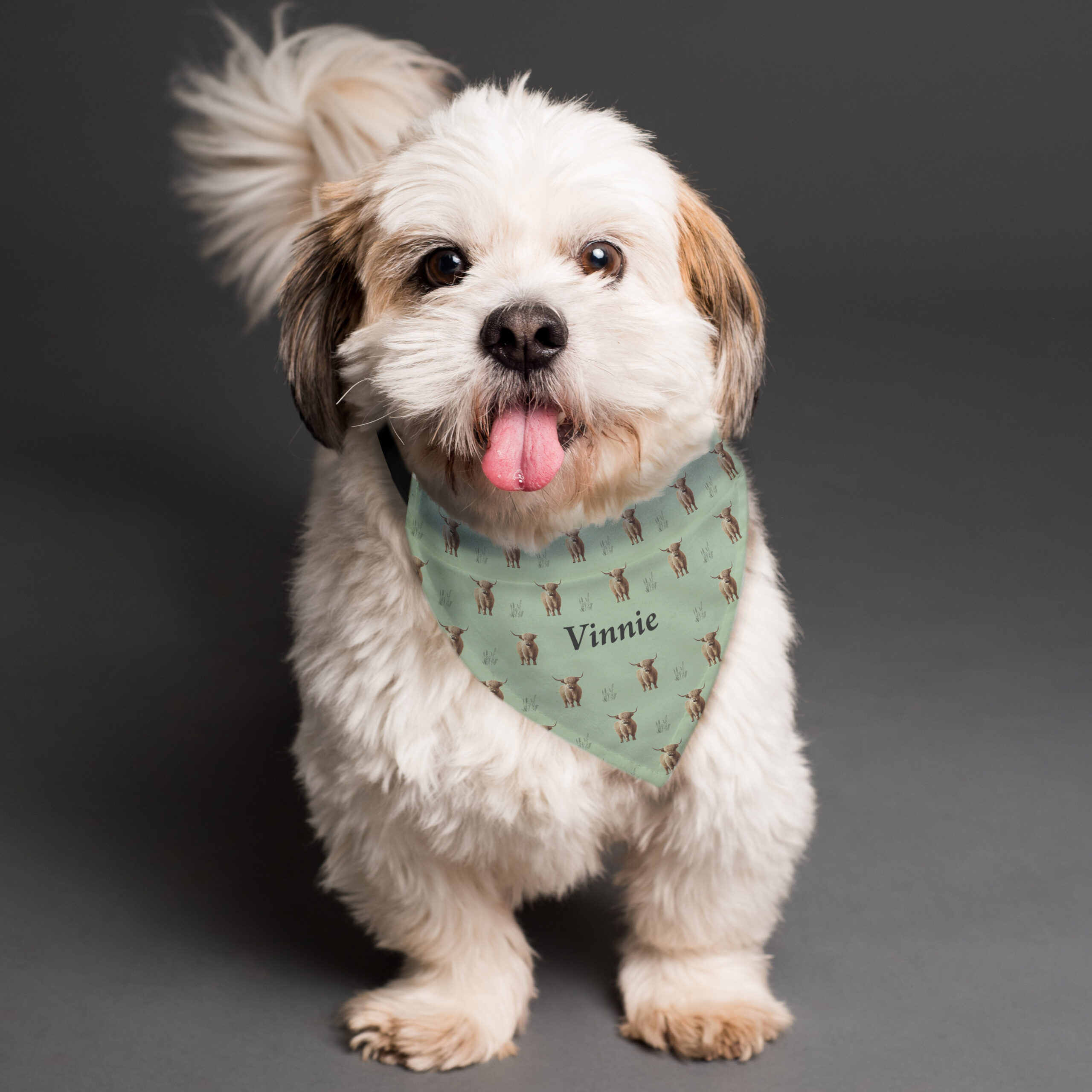 Personalised Highland Cow Dog Bandana 2 Personalised Highland Cow Dog Bandana