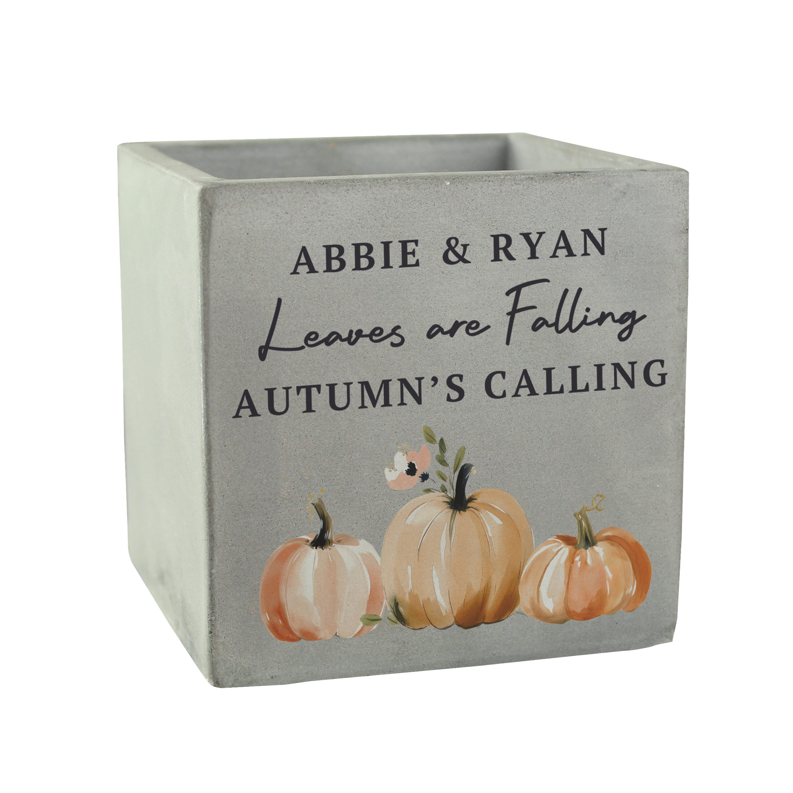 Personalised Pumpkin Concrete Plant Pot 4 Personalised Pumpkin Concrete Plant Pot